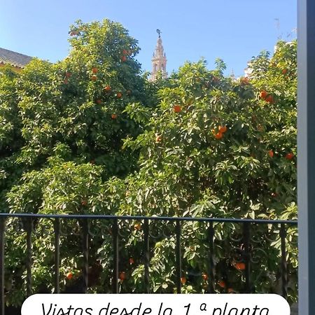 Apartamentos En La Plaza Dona Elvira, 7 เซบีญา ภายนอก รูปภาพ