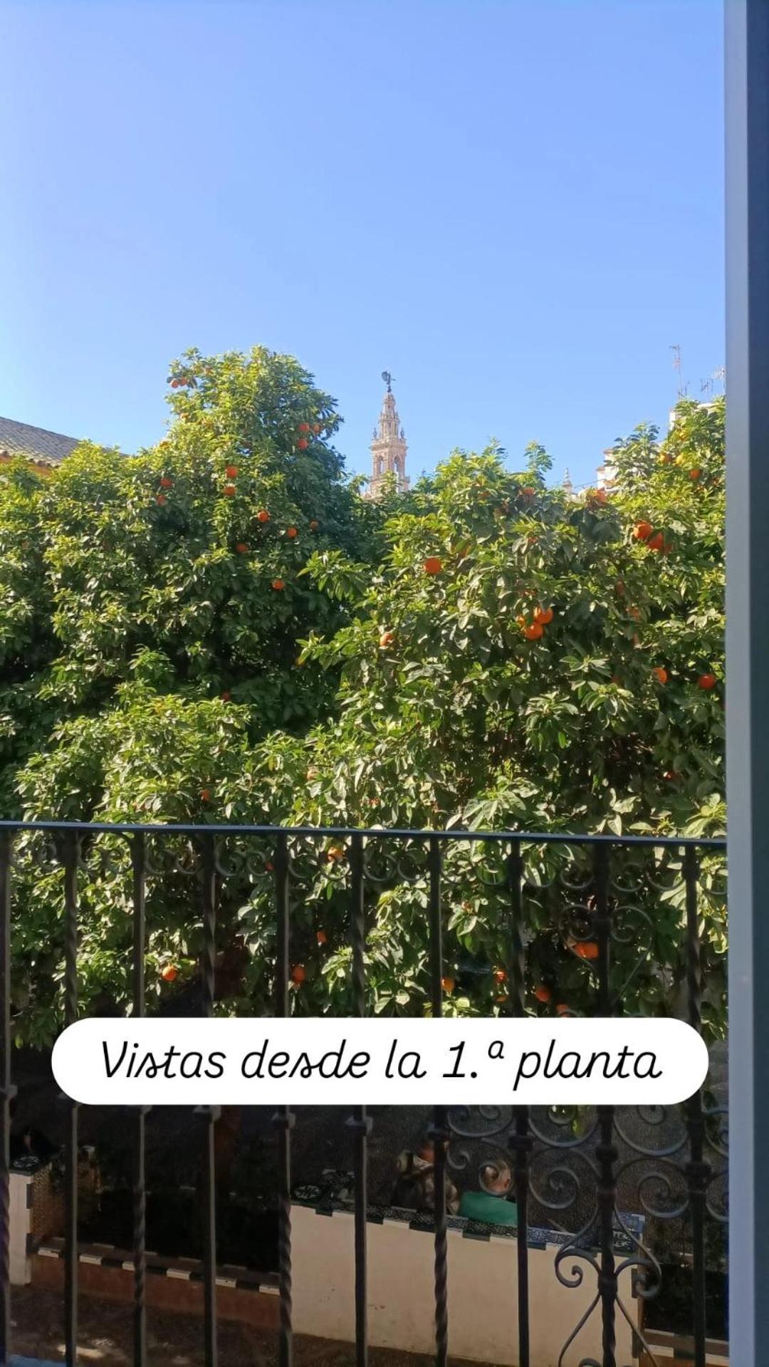 Apartamentos En La Plaza Dona Elvira, 7 เซบีญา ภายนอก รูปภาพ