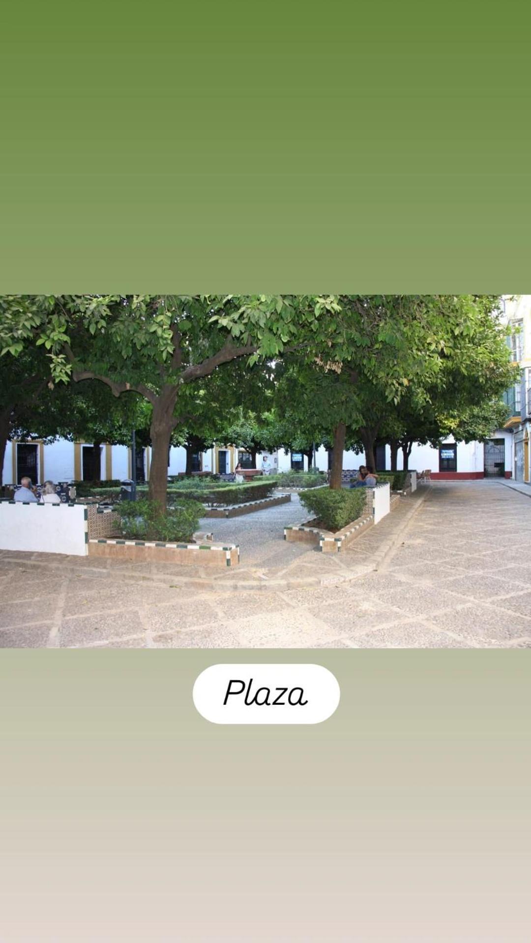 Apartamentos En La Plaza Dona Elvira, 7 เซบีญา ภายนอก รูปภาพ