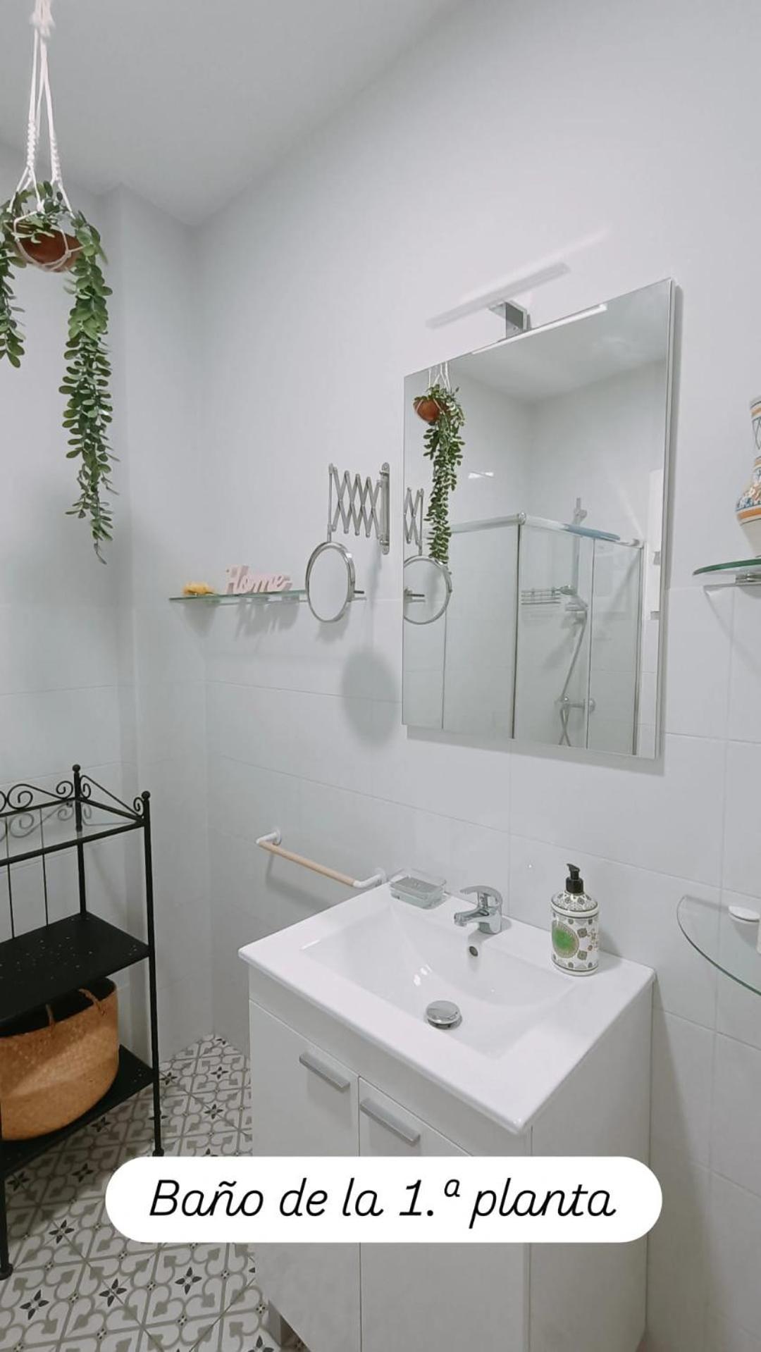 Apartamentos En La Plaza Dona Elvira, 7 เซบีญา ภายนอก รูปภาพ