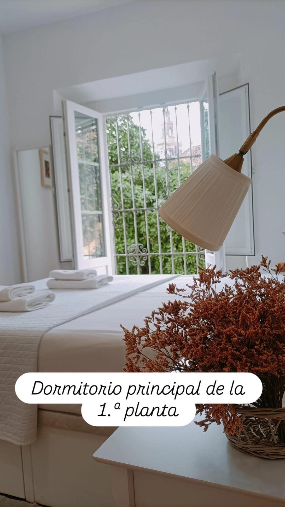Apartamentos En La Plaza Dona Elvira, 7 เซบีญา ภายนอก รูปภาพ